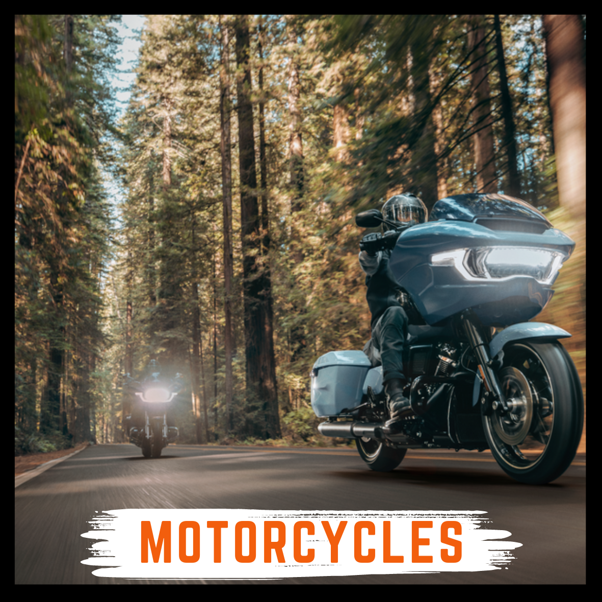 Go to tallahasseeharley.com (--thd-motorcycle-promotions subpage)